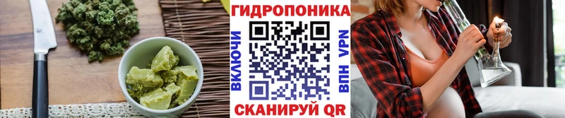 где найти наркотики  Советск  Cannafood конопля 