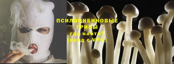 spice Козловка