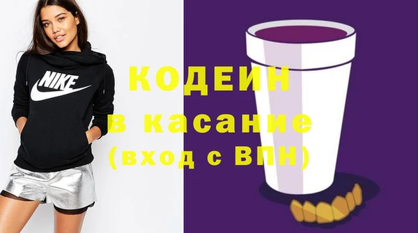 индика Киренск