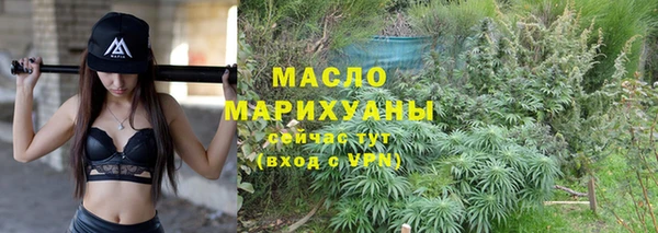 индика Киренск