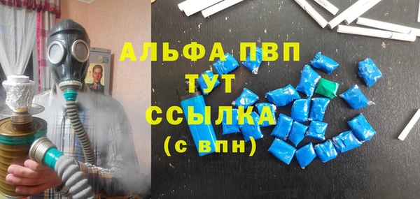 индика Киренск