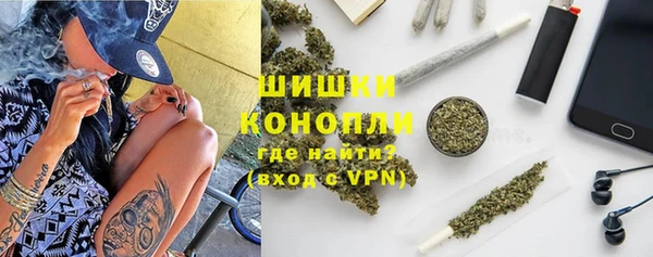 индика Киренск