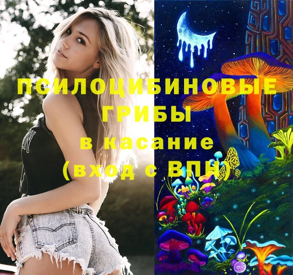 spice Козловка