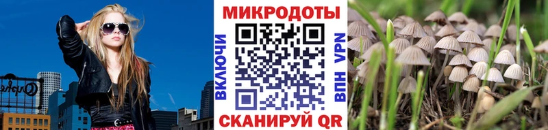 Псилоцибиновые грибы Magic Shrooms  цены   Советск 