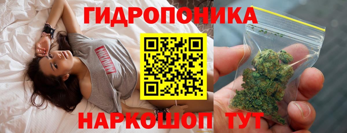 Конопля конопля  Канабис OG Kush  Советск  Каннабис VHQ  Вход с VPN  Каннабис план 